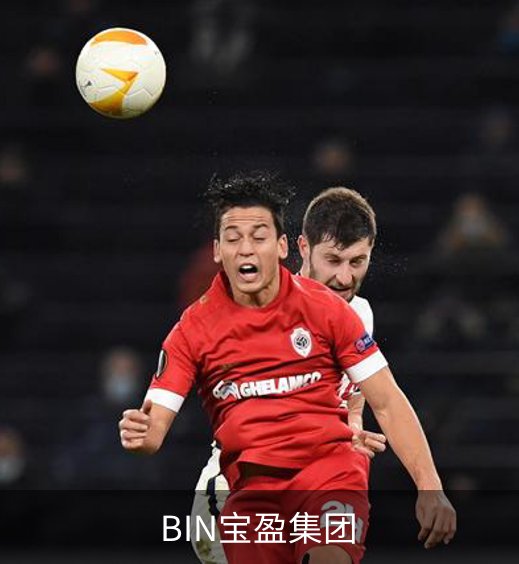 关于BIN宝盈集团